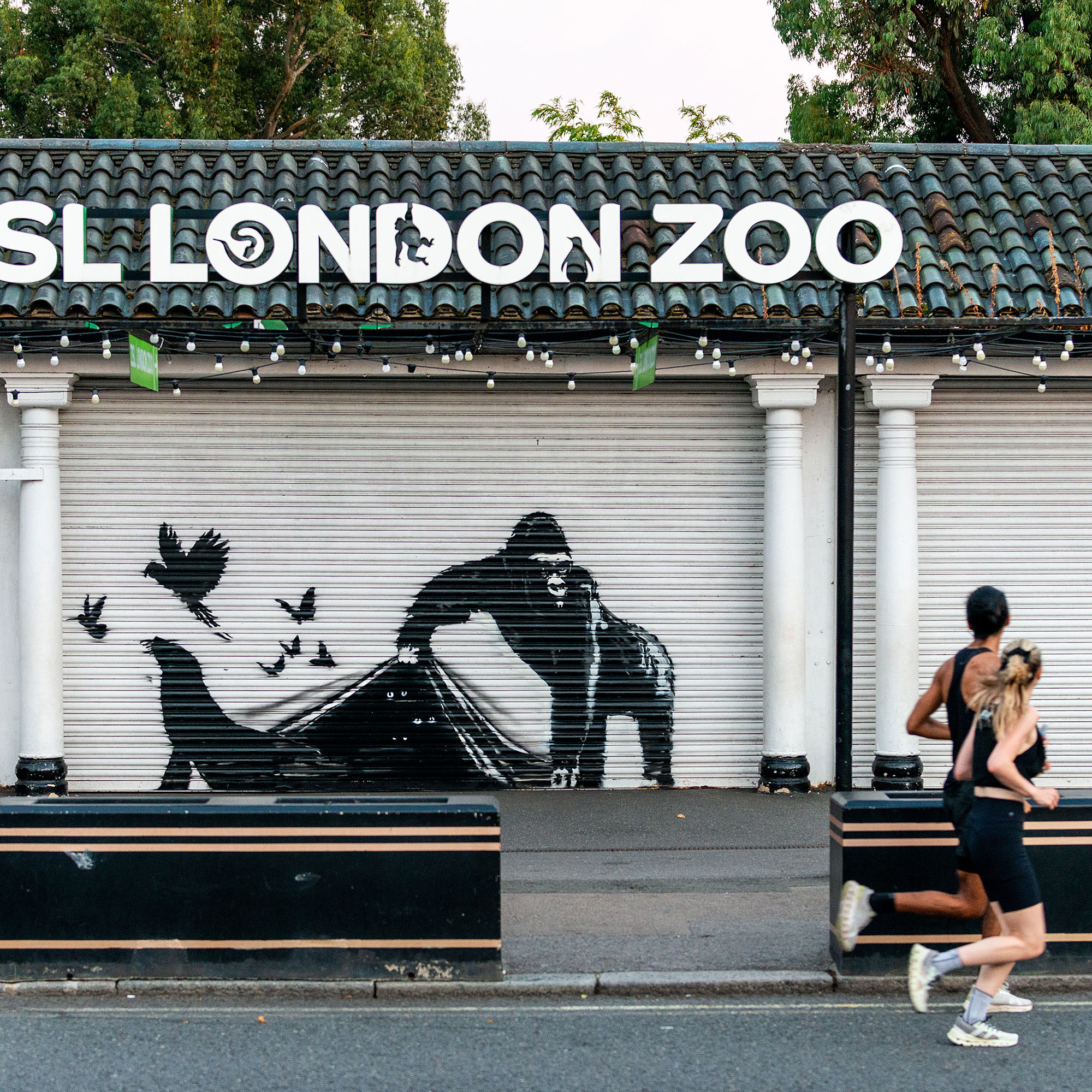 Juxtapoz Magazine - And on Day 9 Banksy's Gorilla Has Let the
